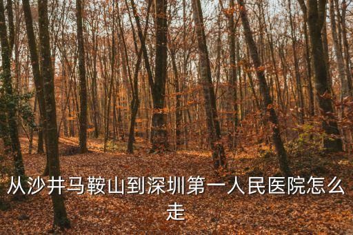 沙井開車到深圳人民醫(yī)院怎么走，沙井到深圳市人民醫(yī)院怎么坐車