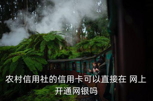 農(nóng)村信用社的信用卡可以直接在 網(wǎng)上開通網(wǎng)銀嗎