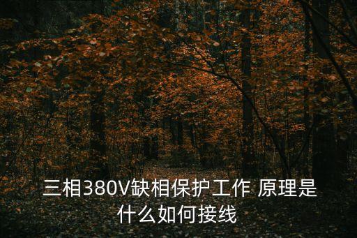  三相380V缺相保護(hù)工作 原理是什么如何接線