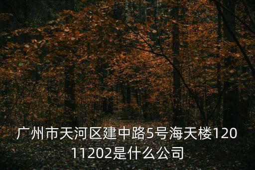 廣州市天河區建中路5號海天樓12011202是什么公司