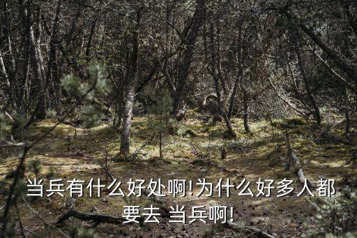  當(dāng)兵有什么好處啊!為什么好多人都要去 當(dāng)兵啊!