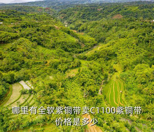 深圳紫銅線(xiàn)，哪里有全軟紫銅帶賣(mài)C1100紫銅帶價(jià)格是多少