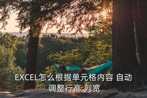 EXCEL怎么根據單元格內容 自動 調整行高 列寬