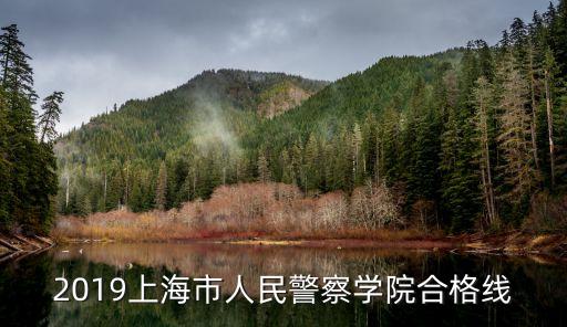 2019上海市人民警察學(xué)院合格線