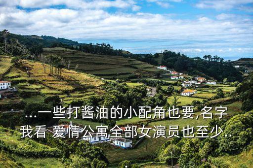 ...一些打醬油的小配角也要,名字我看 愛情公寓全部女演員也至少...