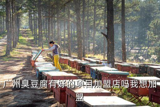 廣州臭豆腐有好的項目加盟店嗎我想加盟