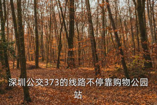 深圳公交373的線路不停靠購物公園站