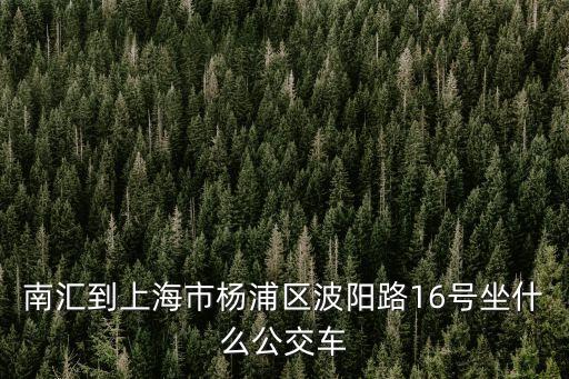 南匯到上海市楊浦區波陽路16號坐什么公交車