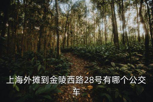 上海市金陵西路28，上海金陵西路28號金陵大廈是哪個區的