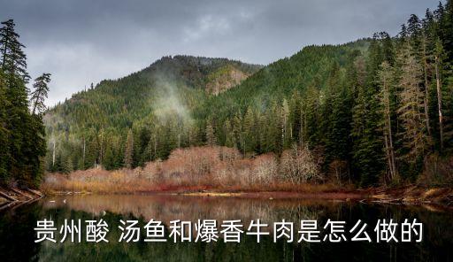  貴州酸 湯魚(yú)和爆香牛肉是怎么做的
