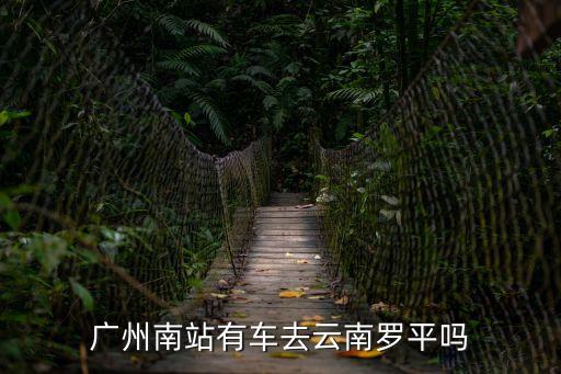 廣州南站有車去云南羅平嗎