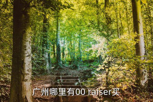 r50團購廣州，廣州哪里有00 raiser買