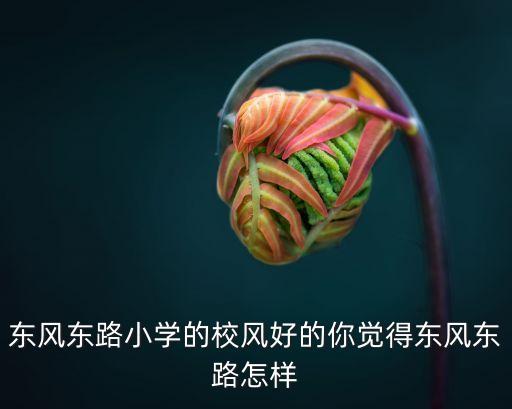 廣州東風東路怎么樣，廣州市越秀區東風東路小學怎么樣