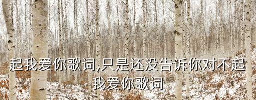 起我愛你歌詞,只是還沒告訴你對不起我愛你歌詞