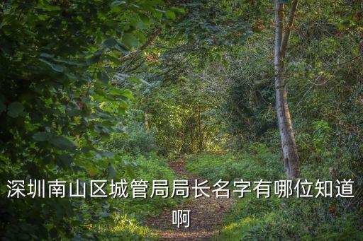 深圳南山區城管局局長名字有哪位知道啊