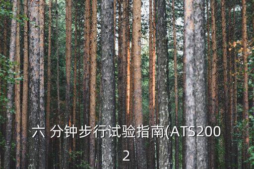 六 分鐘步行試驗(yàn)指南(ATS2002