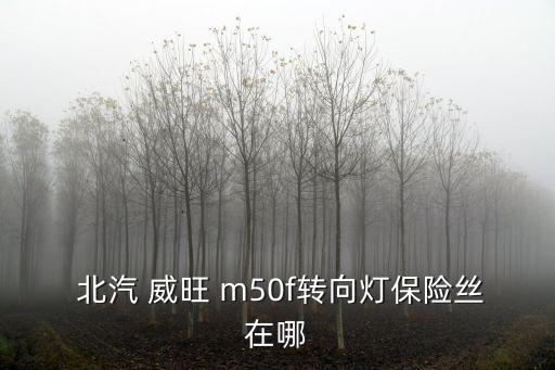  北汽 威旺 m50f轉向燈保險絲在哪