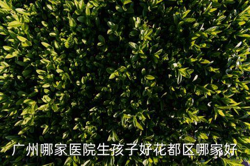 廣州和睦家 生孩子，誰知道在和睦家生個娃到底需要多少錢哪