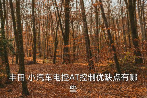 小汽車駕駛技術,模擬小汽車真實駕駛