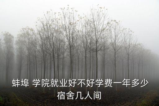 蚌埠學院怎么樣,蚌埠大專院校有哪些