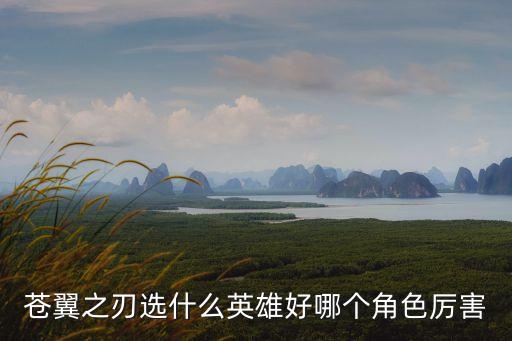 黑獸磁力鏈接,哪個(gè)英雄可以使用哪個(gè)法師最厲害?