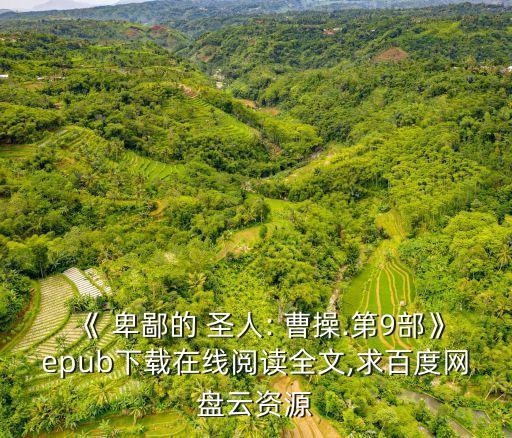 《 卑鄙的 圣人: 曹操.第9部》epub下載在線閱讀全文,求百度網盤云資源