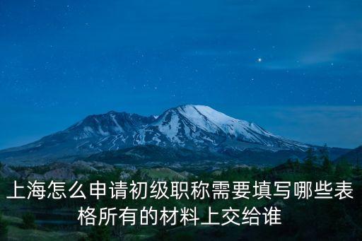 上海怎么申請初級職稱需要填寫哪些表格所有的材料上交給誰
