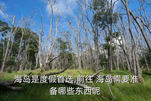  海島是度假首選,前往 海島需要準備哪些東西呢