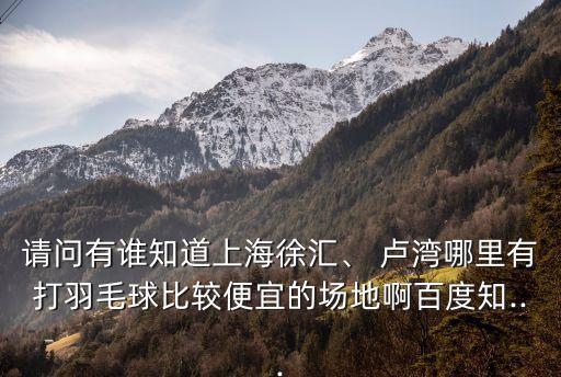 請問有誰知道上海徐匯、 盧灣哪里有打羽毛球比較便宜的場地啊百度知...