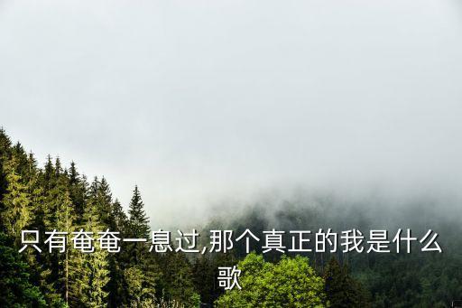 樸樹新歌,什么時候出新歌?聽聽樸樹怎么說