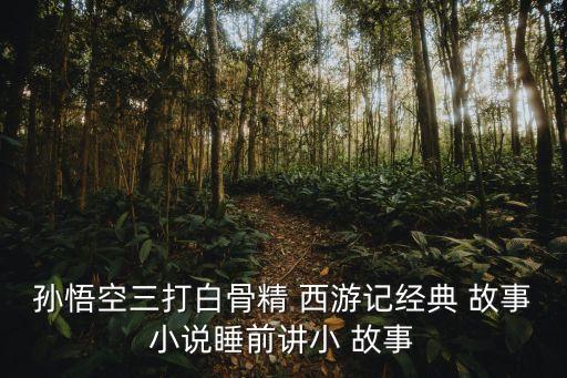 孫悟空三打白骨精 西游記經典 故事小說睡前講小 故事