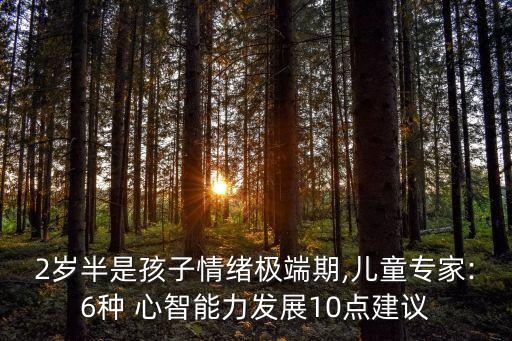 2歲半是孩子情緒極端期,兒童專家:6種 心智能力發展10點建議