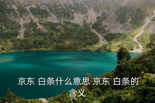 京東白條是什么,京東推出付款方式允許用戶當月消費下月還款