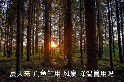 降溫風(fēng)扇,變壓器降溫風(fēng)扇