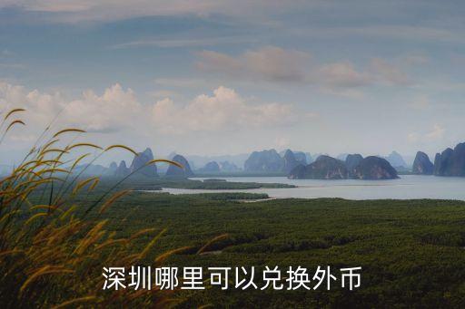 深圳哪里可以兌換外幣