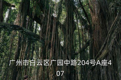 廣州市白云區(qū)廣園中路204號A座407