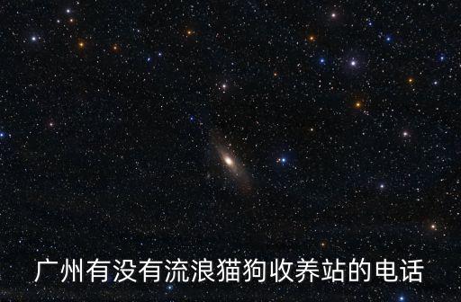 廣州流浪貓救助站電話，廣州市流浪兒童保護中心和救助管理站的辦公電話和地址