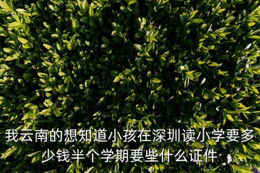 深圳二胎吧，現在生二胎罰多少錢