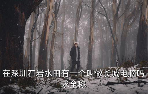在深圳石巖水田有一個叫做長城電腦嗎求全稱