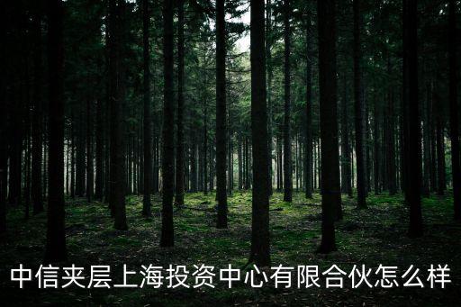 中信集團(tuán)與上海市合作，中信夾層上海投資中心有限合伙怎么樣