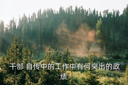干部自傳
