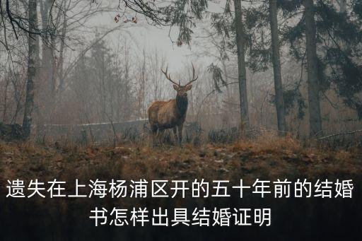 上海市楊浦區(qū)  吳建敏，尋找上海楊浦區(qū)勞動(dòng)仲裁委員會(huì)的地址和聯(lián)系電話咨詢進(jìn)行勞動(dòng)仲裁