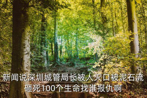 新聞說深圳城管局長被人滅口被泥石流砸死100個生命找誰報仇啊