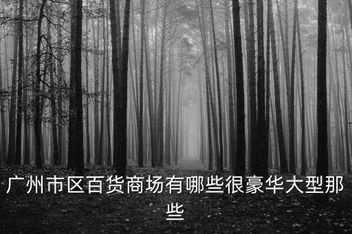 廣州市百貨業商會，廣州市區百貨商場有哪些很豪華大型那些