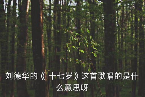 劉德華的《 十七歲》這首歌唱的是什么意思呀