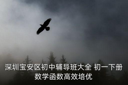深圳七年級下冊數學，求問現在深圳7年級下數學教材是人教版的還是北師大版