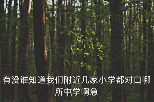 廣州朝天小學(xué)對(duì)應(yīng)中學(xué)，小學(xué)對(duì)口初中怎么劃分