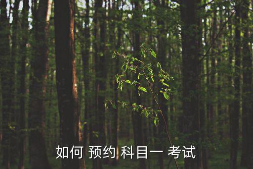 如何 預(yù)約 科目一 考試