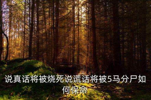 說真話將被燒死說謊話將被5馬分尸如何保命