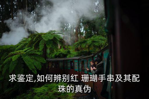 珊瑚擺件,天然珊瑚擺件